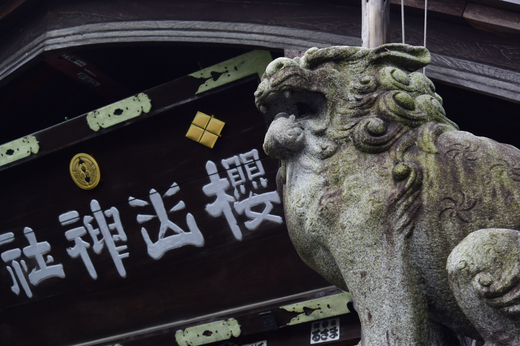 櫻山神社の狛犬
