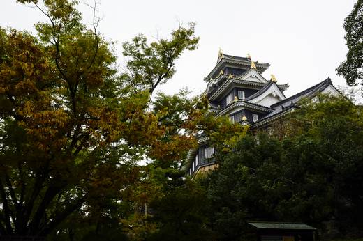 岡山城を見上げる