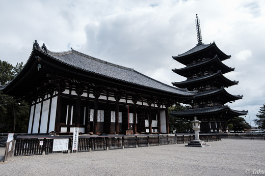 興福寺の東金堂と五重塔