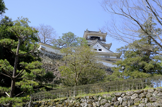高知城を見上げる