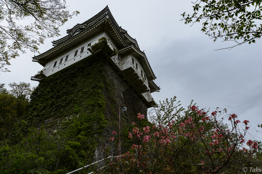 尾道城を見上げる