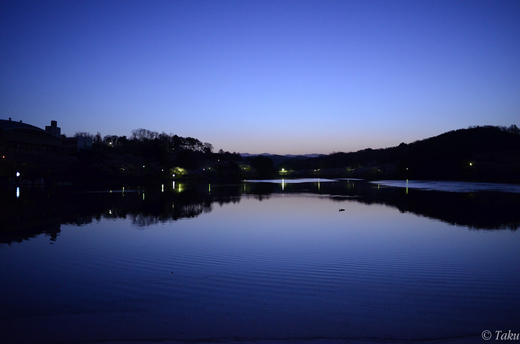 高松の池の夜明け
